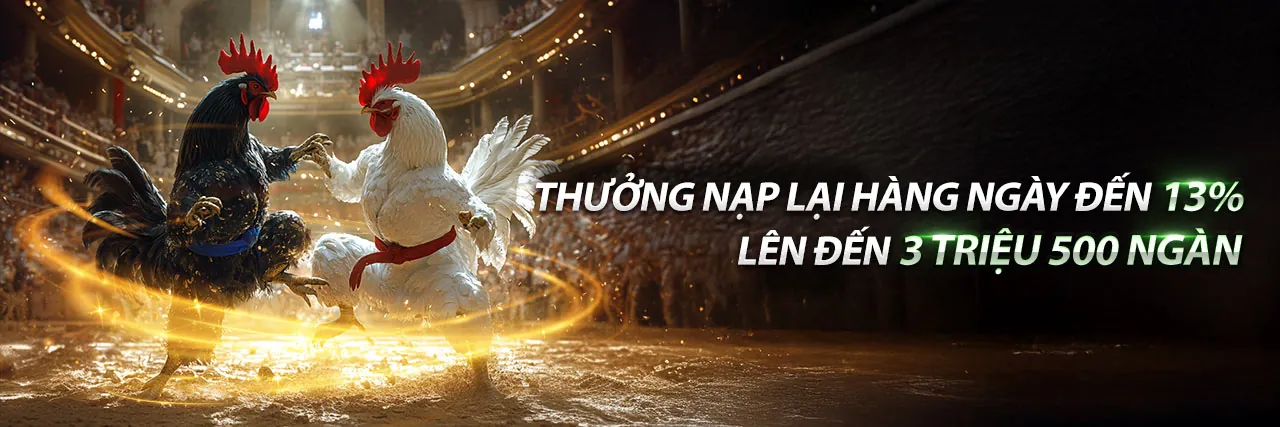 Đặt kèo 88 thông minh